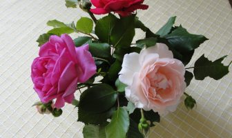 Drie redenen om iemand een leuke bos bloemen te bezorgen