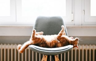 Wat te doen als je cv ketel defect is