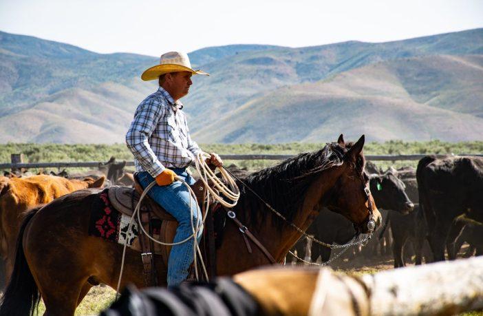 De cowboy trend aankomend festivalseizoen